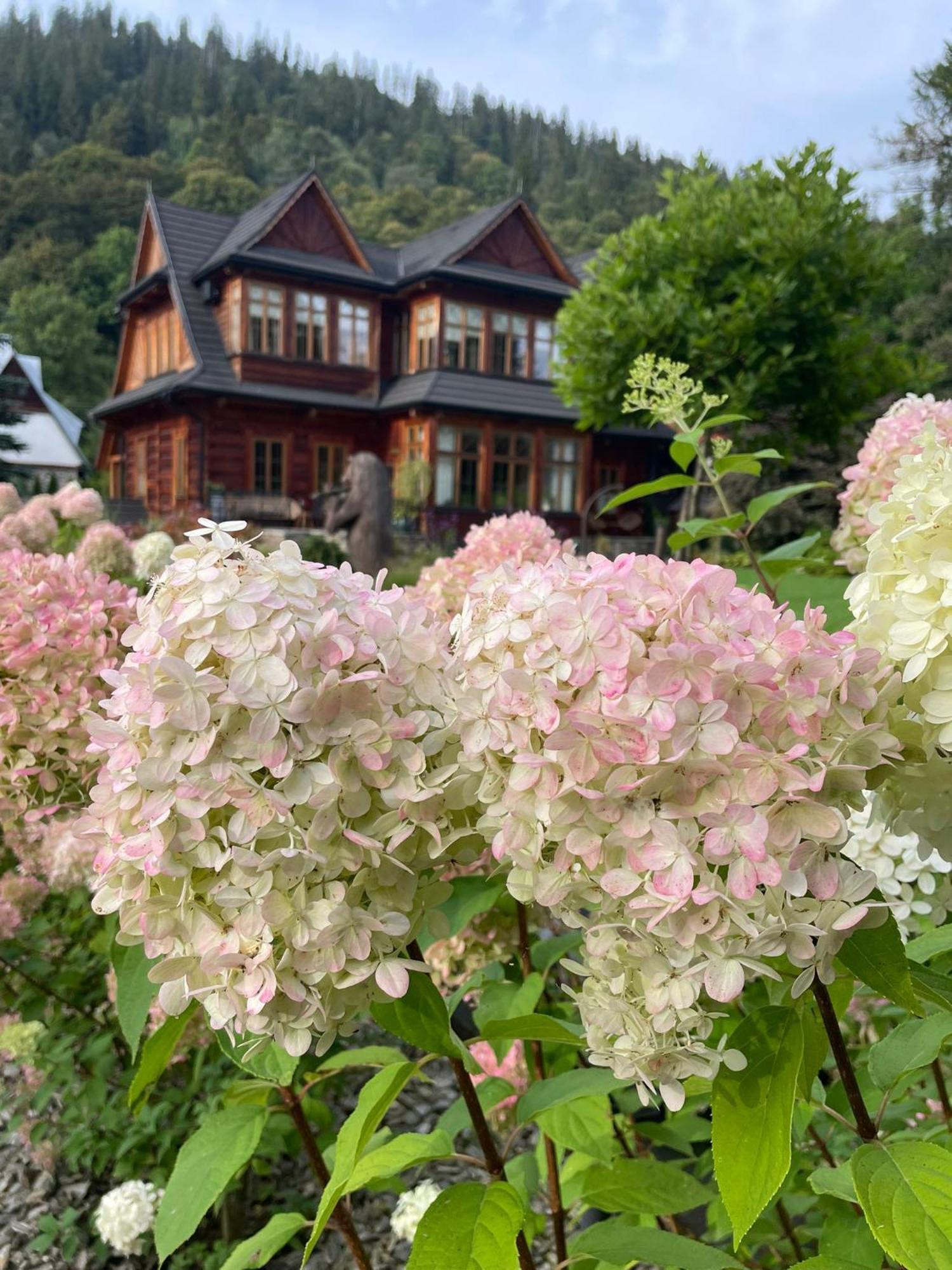 Niedzwiedzia Residence 波罗宁 外观 照片
